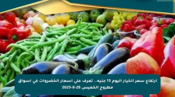 ارتفاع سعر الخيار اليوم 15 جنيه.. تعرف على أسعار الخضروات في أسواق مطروح الخميس 28-8-2025